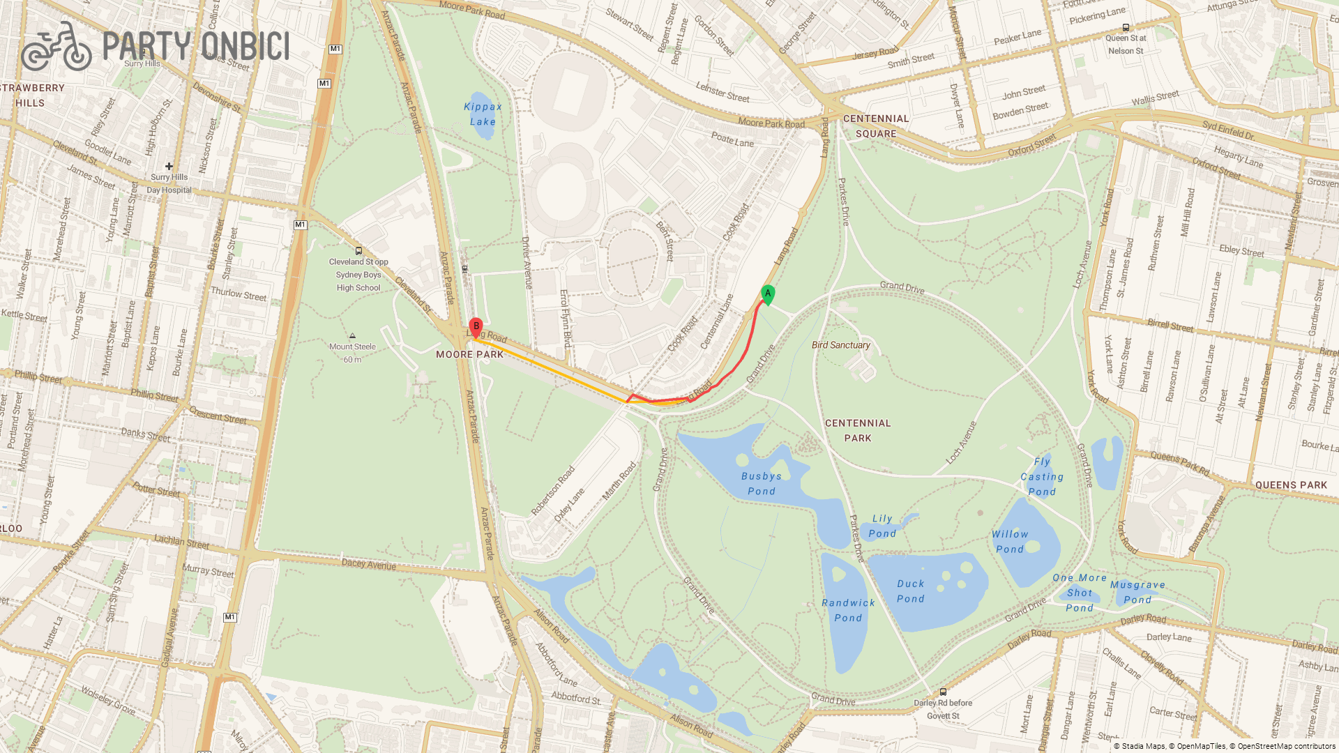 Widescreen share image